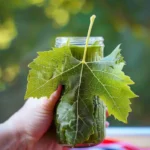 How to Pick and Pickle Grape Leaves